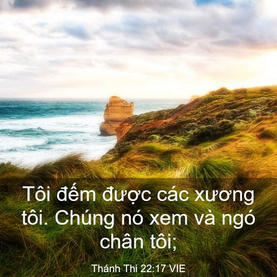 Picture 03 - Thánh Thi 22:17 VIE - Tôi đếm được các xương tôi. Chúng - Bible Verse Picture