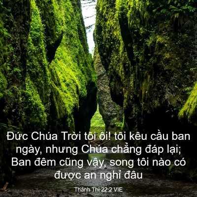 Picture 03 - Thánh Thi 22:2 VIE - Đức Chúa Trời tôi ôi! tôi kêu cầu ban - Bible Verse Picture