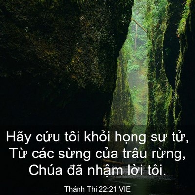 Picture 03 - Thánh Thi 22:21 VIE - Hãy cứu tôi khỏi họng sư tử, Từ các - Bible Verse Picture