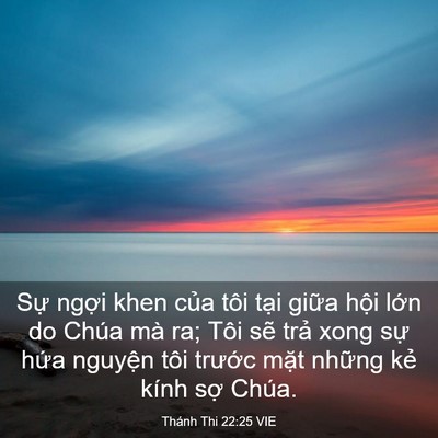 Picture 03 - Thánh Thi 22:25 VIE - Sự ngợi khen của tôi tại giữa hội - Bible Verse Picture