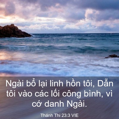 Picture 03 - Thánh Thi 23:3 VIE - Ngài bổ lại linh hồn tôi, Dẫn tôi vào - Bible Verse Picture