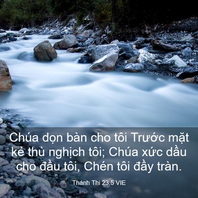 Picture 03 - Thánh Thi 23:5 VIE - Chúa dọn bàn cho tôi Trước mặt kẻ - Bible Verse Picture