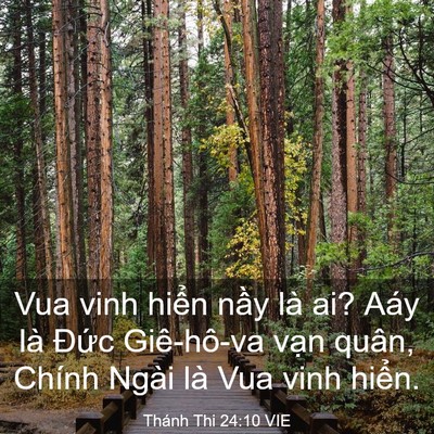 Picture 03 - Thánh Thi 24:10 VIE - Vua vinh hiển nầy là ai? Aáy là Đức - Bible Verse Picture