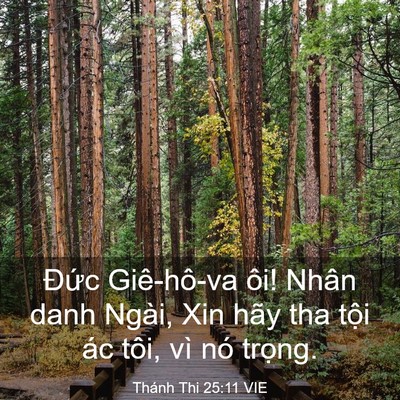 Picture 03 - Thánh Thi 25:11 VIE - Đức Giê-hô-va ôi! Nhân danh Ngài, Xin - Bible Verse Picture