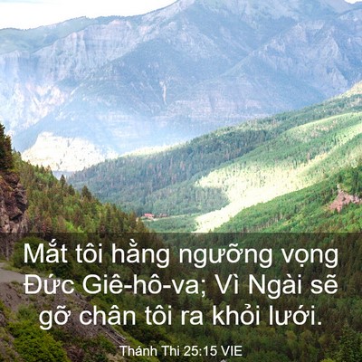 Picture 03 - Thánh Thi 25:15 VIE - Mắt tôi hằng ngưỡng vọng Đức - Bible Verse Picture