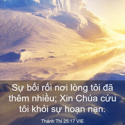 Picture 03 - Thánh Thi 25:17 VIE - Sự bối rối nơi lòng tôi đã thêm - Bible Verse Picture