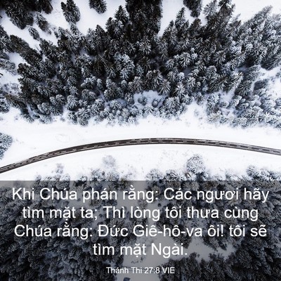Picture 03 - Thánh Thi 27:8 VIE - Khi Chúa phán rằng: Các ngươi hãy tìm - Bible Verse Picture