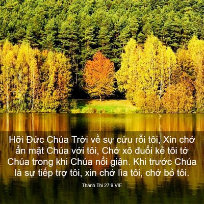 Picture 03 - Thánh Thi 27:9 VIE - Hỡi Đức Chúa Trời về sự cứu rỗi - Bible Verse Picture