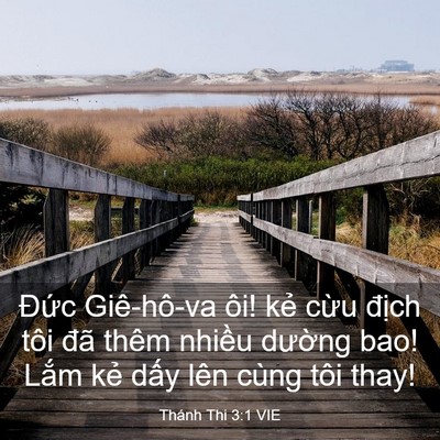 Picture 03 - Thánh Thi 3:1 VIE - Đức Giê-hô-va ôi! kẻ cừu địch tôi - Bible Verse Picture