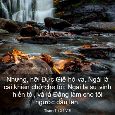 Picture 03 - Thánh Thi 3:3 VIE - Nhưng, hỡi Đức Giê-hô-va, Ngài là cái - Bible Verse Picture