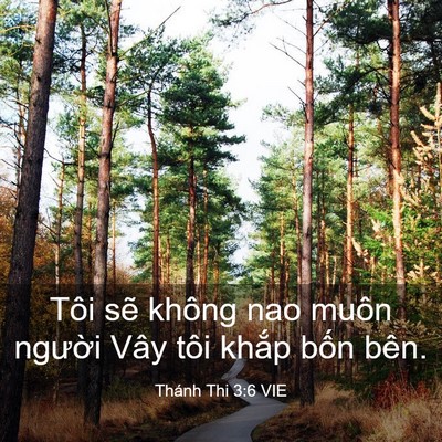 Picture 03 - Thánh Thi 3:6 VIE - Tôi sẽ không nao muôn người Vây tôi - Bible Verse Picture