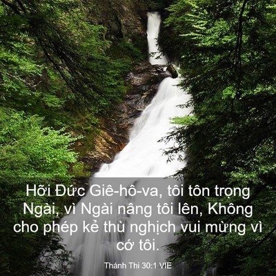 Picture 03 - Thánh Thi 30:1 VIE - Hỡi Đức Giê-hô-va, tôi tôn trọng - Bible Verse Picture