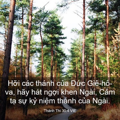 Picture 03 - Thánh Thi 30:4 VIE - Hỡi các thánh của Đức Giê-hô-va, hãy - Bible Verse Picture