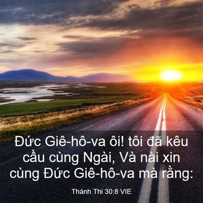 Picture 03 - Thánh Thi 30:8 VIE - Đức Giê-hô-va ôi! tôi đã kêu cầu - Bible Verse Picture