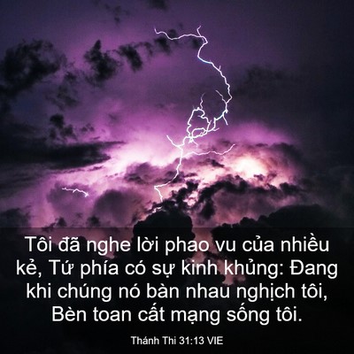 Picture 03 - Thánh Thi 31:13 VIE - Tôi đã nghe lời phao vu của nhiều kẻ, - Bible Verse Picture