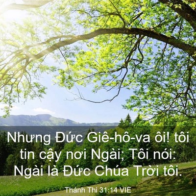 Picture 03 - Thánh Thi 31:14 VIE - Nhưng Đức Giê-hô-va ôi! tôi tin cậy - Bible Verse Picture
