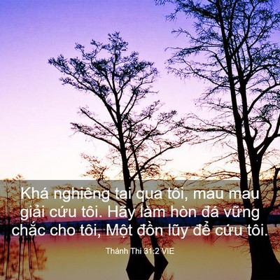 Picture 03 - Thánh Thi 31:2 VIE - Khá nghiêng tai qua tôi, mau mau giải cứu - Bible Verse Picture