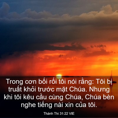 Picture 03 - Thánh Thi 31:22 VIE - Trong cơn bối rối tôi nói rằng: Tôi - Bible Verse Picture