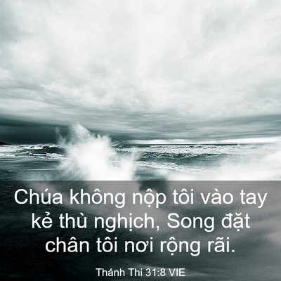 Picture 03 - Thánh Thi 31:8 VIE - Chúa không nộp tôi vào tay kẻ thù - Bible Verse Picture