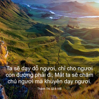 Picture 03 - Thánh Thi 32:8 VIE - Ta sẽ dạy dỗ ngươi, chỉ cho ngươi con - Bible Verse Picture