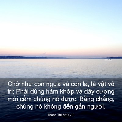 Picture 03 - Thánh Thi 32:9 VIE - Chớ như con ngựa và con la, là vật vô - Bible Verse Picture