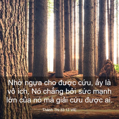 Picture 03 - Thánh Thi 33:17 VIE - Nhờ ngựa cho được cứu, ấy là vô - Bible Verse Picture