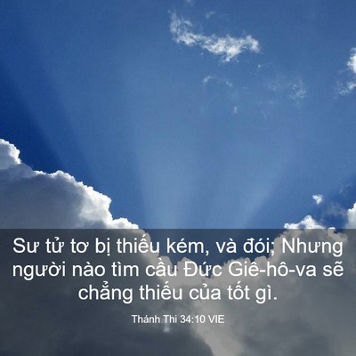Picture 03 - Thánh Thi 34:10 VIE - Sư tử tơ bị thiếu kém, và đói; Nhưng - Bible Verse Picture