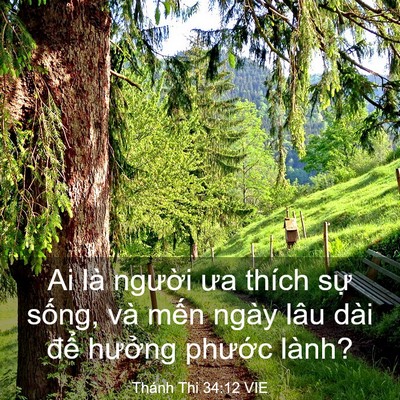 Picture 03 - Thánh Thi 34:12 VIE - Ai là người ưa thích sự sống, và mến - Bible Verse Picture