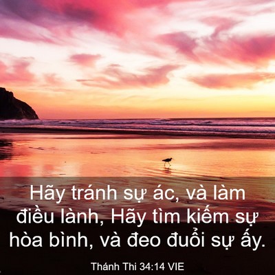 Picture 03 - Thánh Thi 34:14 VIE - Hãy tránh sự ác, và làm điều lành, - Bible Verse Picture