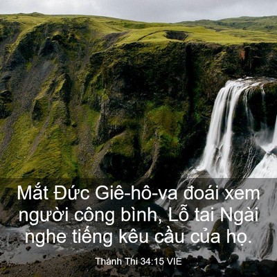 Picture 03 - Thánh Thi 34:15 VIE - Mắt Đức Giê-hô-va đoái xem người - Bible Verse Picture