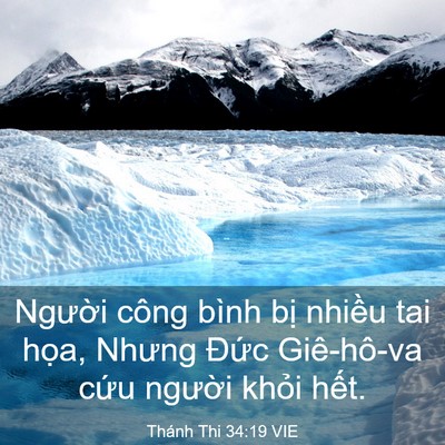 Picture 03 - Thánh Thi 34:19 VIE - Người công bình bị nhiều tai họa, - Bible Verse Picture