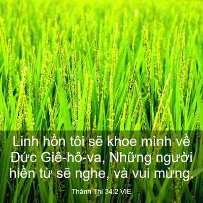Picture 03 - Thánh Thi 34:2 VIE - Linh hồn tôi sẽ khoe mình về Đức - Bible Verse Picture