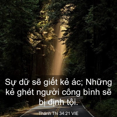 Picture 03 - Thánh Thi 34:21 VIE - Sự dữ sẽ giết kẻ ác; Những kẻ - Bible Verse Picture