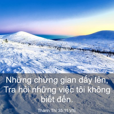 Picture 03 - Thánh Thi 35:11 VIE - Những chứng gian dấy lên, Tra hỏi - Bible Verse Picture