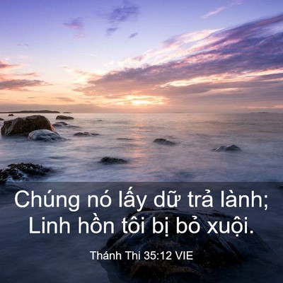 Picture 03 - Thánh Thi 35:12 VIE - Chúng nó lấy dữ trả lành; Linh hồn - Bible Verse Picture