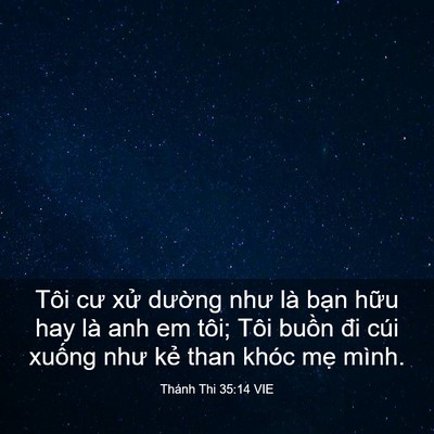 Picture 03 - Thánh Thi 35:14 VIE - Tôi cư xử dường như là bạn hữu hay - Bible Verse Picture