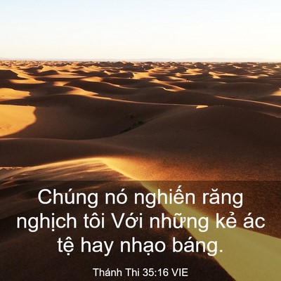 Picture 03 - Thánh Thi 35:16 VIE - Chúng nó nghiến răng nghịch tôi Với - Bible Verse Picture
