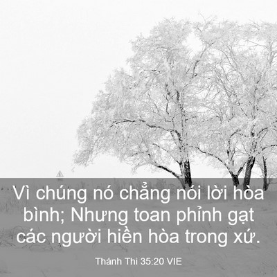Picture 03 - Thánh Thi 35:20 VIE - Vì chúng nó chẳng nói lời hòa bình; - Bible Verse Picture