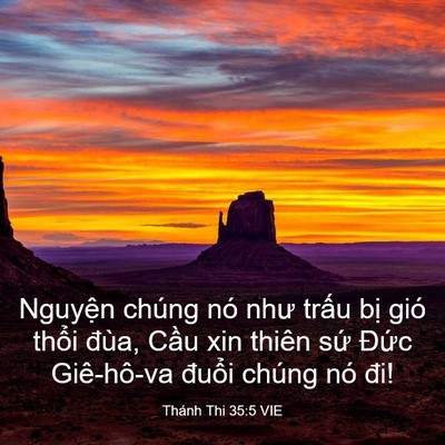 Picture 03 - Thánh Thi 35:5 VIE - Nguyện chúng nó như trấu bị gió thổi - Bible Verse Picture