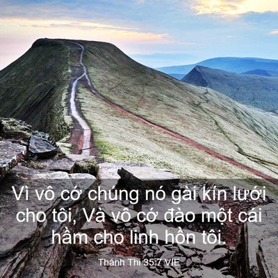 Picture 03 - Thánh Thi 35:7 VIE - Vì vô cớ chúng nó gài kín lưới cho - Bible Verse Picture