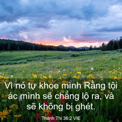 Picture 03 - Thánh Thi 36:2 VIE - Vì nó tự khoe mình Rằng tội ác mình - Bible Verse Picture