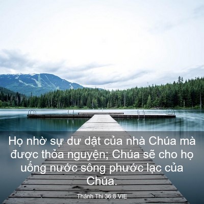 Picture 03 - Thánh Thi 36:8 VIE - Họ nhờ sự dư dật của nhà Chúa mà - Bible Verse Picture