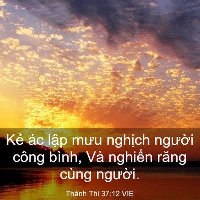 Picture 03 - Thánh Thi 37:12 VIE - Kẻ ác lập mưu nghịch người công - Bible Verse Picture