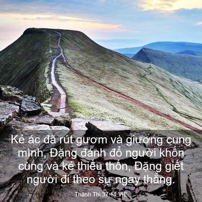 Picture 03 - Thánh Thi 37:14 VIE - Kẻ ác đã rút gươm và giương cung - Bible Verse Picture