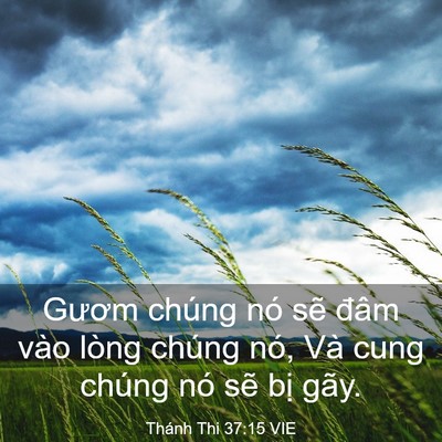 Picture 03 - Thánh Thi 37:15 VIE - Gươm chúng nó sẽ đâm vào lòng chúng - Bible Verse Picture
