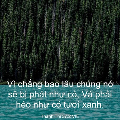 Picture 03 - Thánh Thi 37:2 VIE - Vì chẳng bao lâu chúng nó sẽ bị phát - Bible Verse Picture