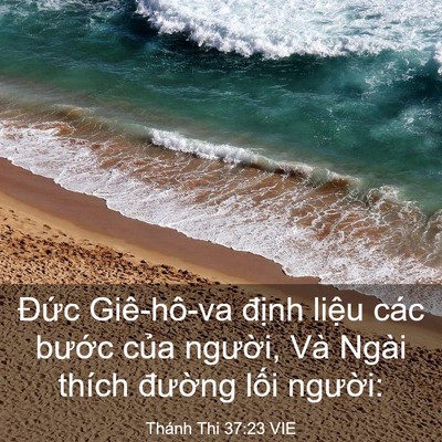 Picture 03 - Thánh Thi 37:23 VIE - Đức Giê-hô-va định liệu các bước - Bible Verse Picture