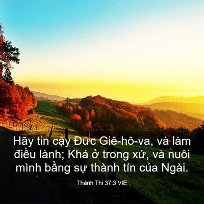 Picture 03 - Thánh Thi 37:3 VIE - Hãy tin cậy Đức Giê-hô-va, và làm - Bible Verse Picture