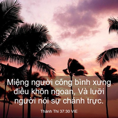 Picture 03 - Thánh Thi 37:30 VIE - Miệng người công bình xưng điều khôn - Bible Verse Picture