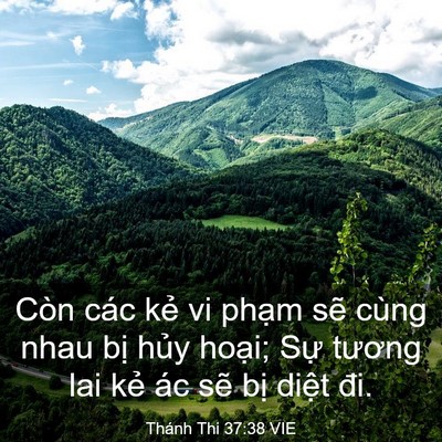 Picture 03 - Thánh Thi 37:38 VIE - Còn các kẻ vi phạm sẽ cùng nhau bị - Bible Verse Picture